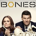 Bones