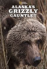 Alaska's Grizzly Gauntlet