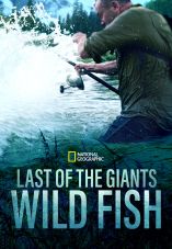 Last of the Giants