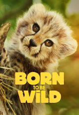 Born to Be Wild