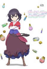 I Shall Survive Using Potions!