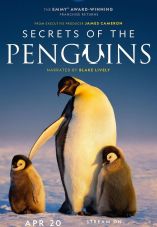 Secrets of the Penguins