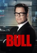 Bull Türkçe Dublaj