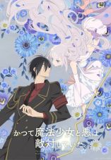 The Magical Girl and the Evil
