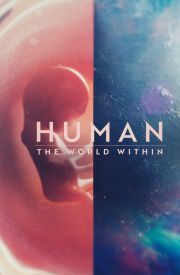 Human: The World Within Türkçe Dublaj