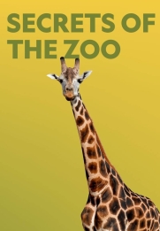 Secrets of the Zoo