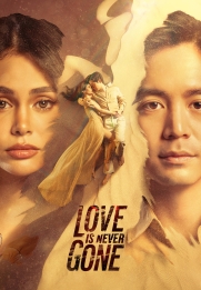 Love Is Never Gone