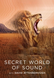 Secret World of Sound