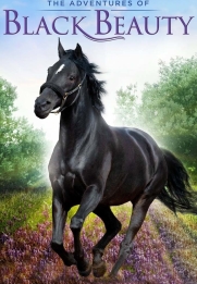 The Adventures of Black Beauty