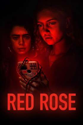 Red Rose
