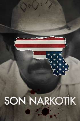 The Last Narc