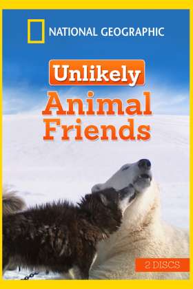 Unlikely Animal Friends