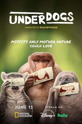 Underdogs