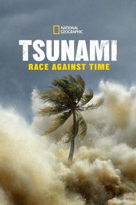 Tsunami: Race Against Time