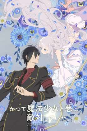 The Magical Girl and the Evil