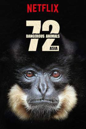 72 Dangerous Animals: Asia