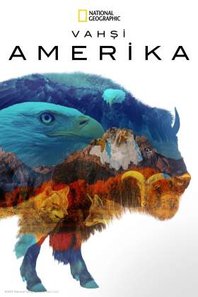 America the Beautiful