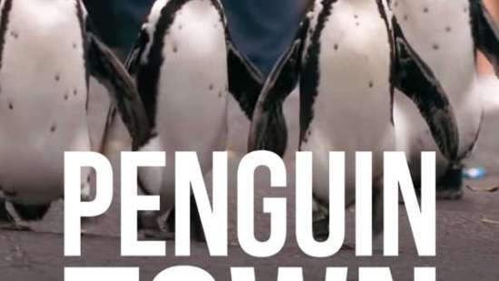 play