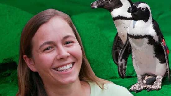 play