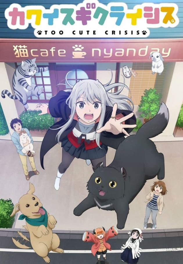 Too Cute Crisis