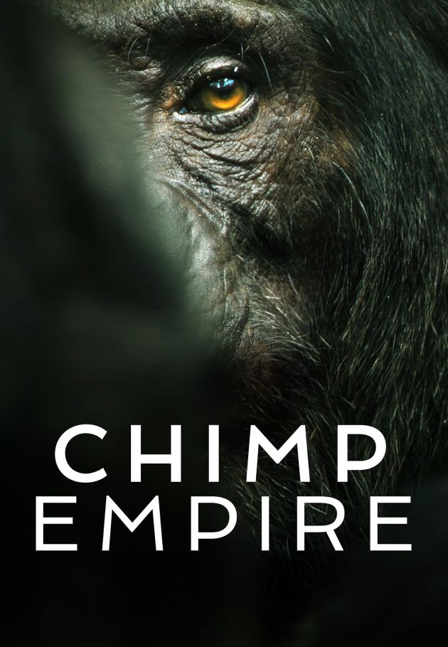 Chimp Empire