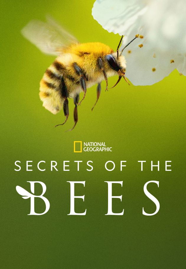 Secrets of the Bees