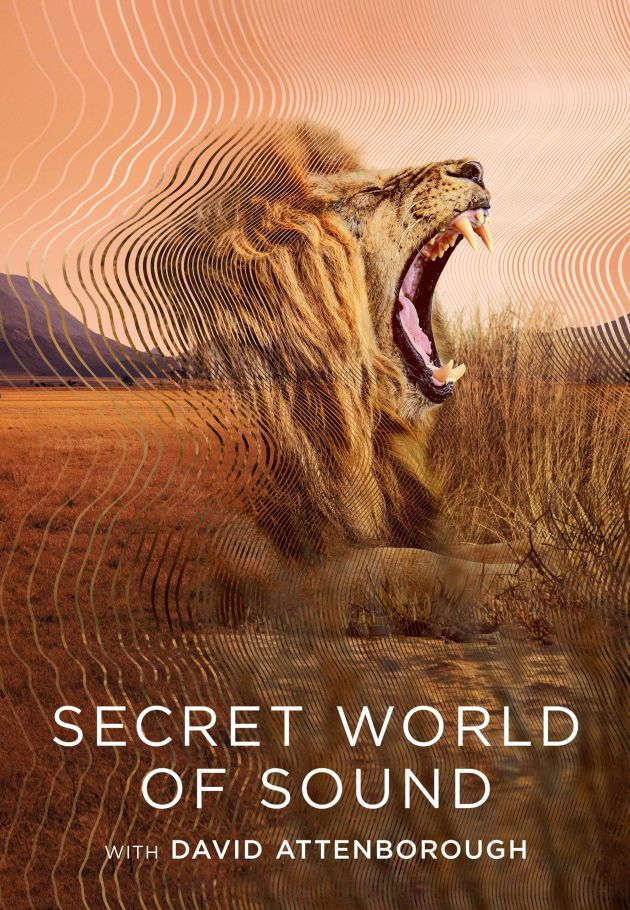 Secret World of Sound