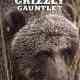 Alaska's Grizzly Gauntlet