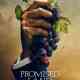Promised Land