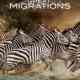 Great Migrations