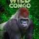 Wild Congo