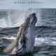 Secrets of the Whales