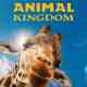 Magic of Disney's Animal Kingdom