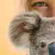 Izzy's Koala World