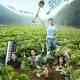 Modern Farmer