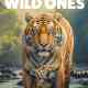 The Wild Ones