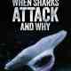 When Sharks Attack... and Why