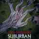 John Carpenter's Suburban Screams