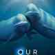 Our Oceans
