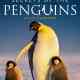 Secrets of the Penguins