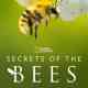 Secrets of the Bees