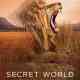 Secret World of Sound