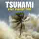 Tsunami: Race Against Time