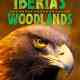 Iberia's Woodlands: Life on the Edge