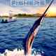 King Fishers