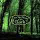Are You Afraid of the Dark?