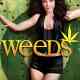 Weeds