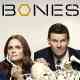 Bones