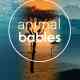 In The Womb: Animal Babies