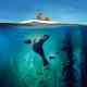Blue Planet II Türkçe Dublaj